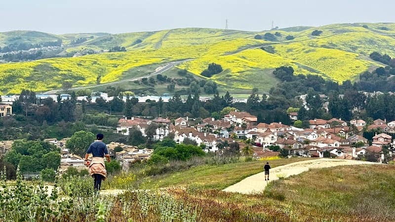 Eucalyptus Trail - Image 2