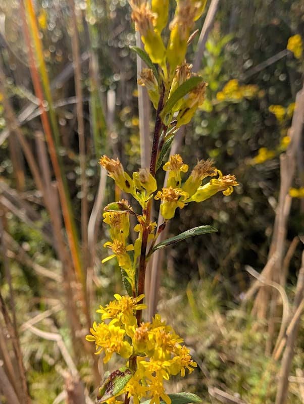 Karcher Springs State Natural Area - Image 1