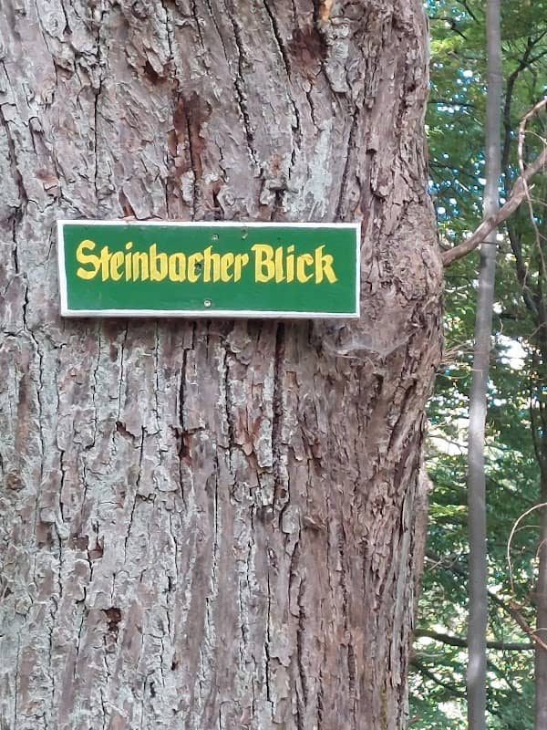 Steinbacher Blick am Rundwanderweg - Image 1