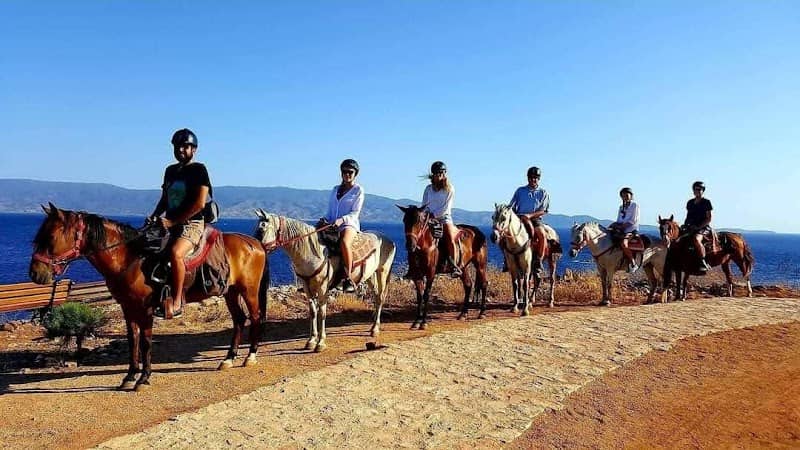 Harriets Hydra Horses - Image 1