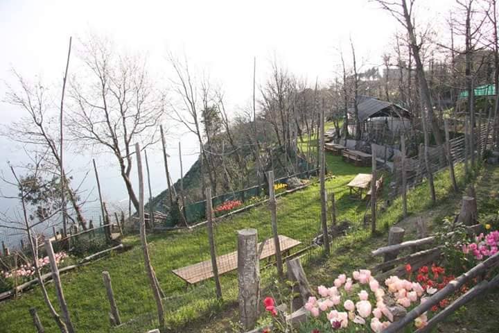 Giardino Schettinus - Image 2