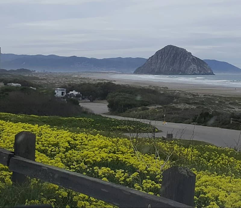 Morro Estuary Natural Preserve - Image 2