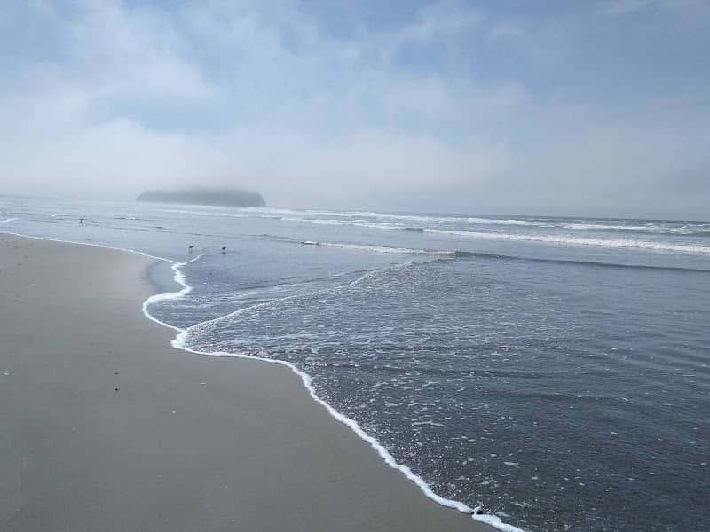 Morro Estuary Natural Preserve - Image 3