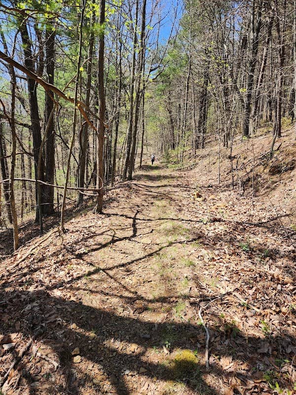 Big Frog Mountain Trailhead - Image 1