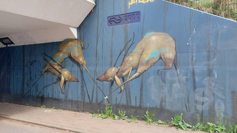 Graffiti-fietstunnel - Image 3