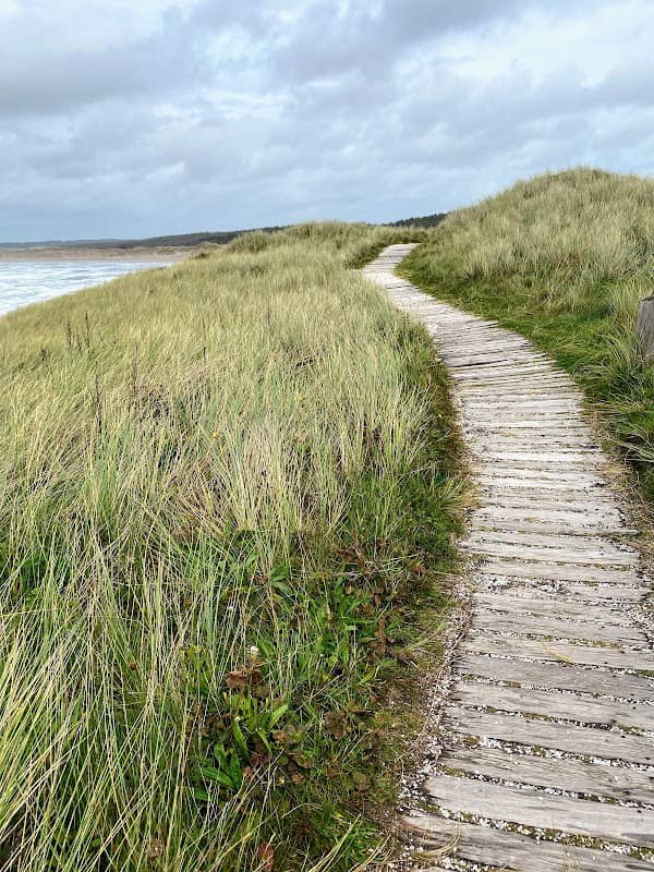 Gwddw Llanddwyn - Image 2