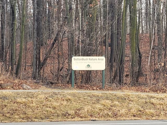 Buttonbush Nature Area - Image 1