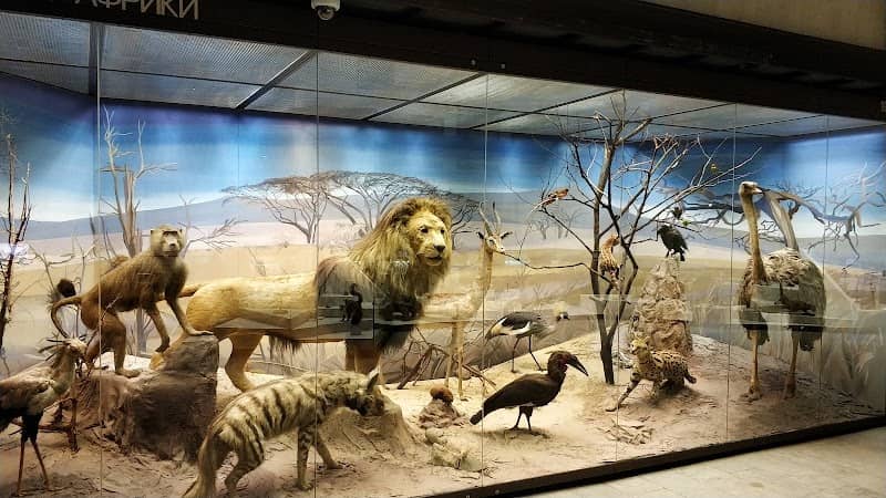 Darwin Museum - Image 3