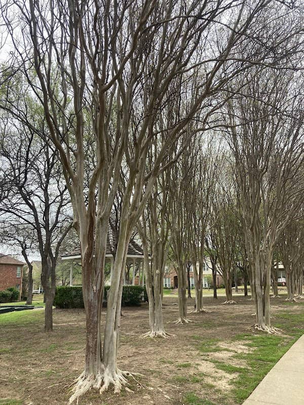 Primrose Park - Image 1