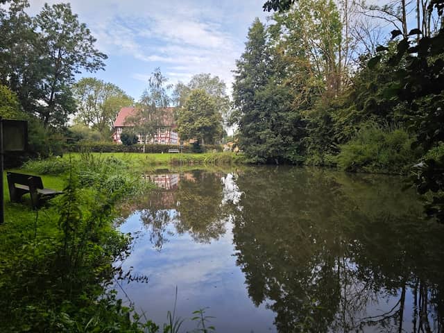 Teich Wolbrechtshausen - Image 1