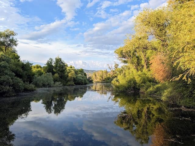 Clear Lake State Park - Image 2