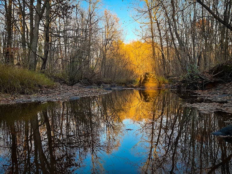 Rum River State Forest - Image 1