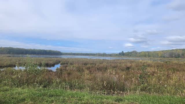 Rum River State Forest - Image 1