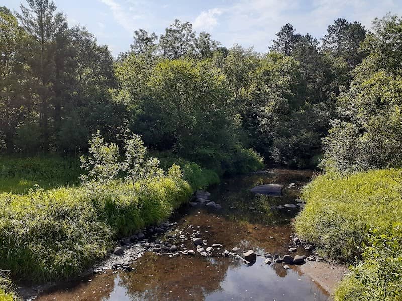Rum River State Forest - Image 2