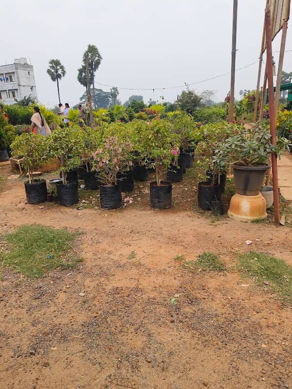 Nilima Gardens - Image 1