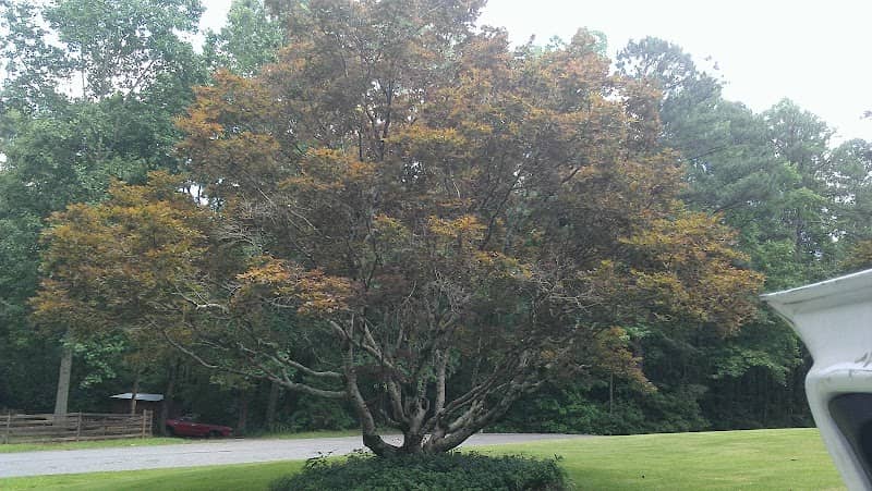 Hillabee - Image 1