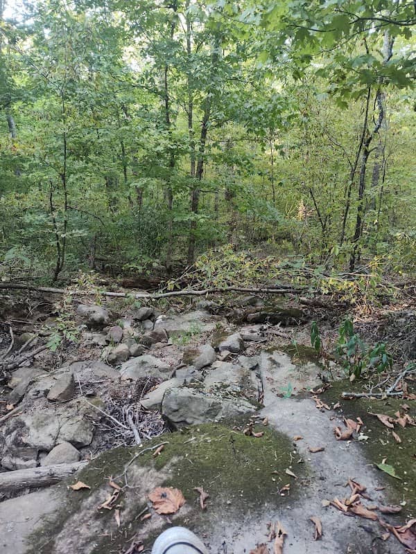 Bonus Falls - Image 1