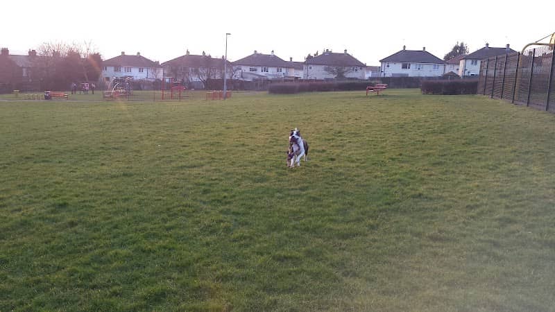 mansion park - Image 2