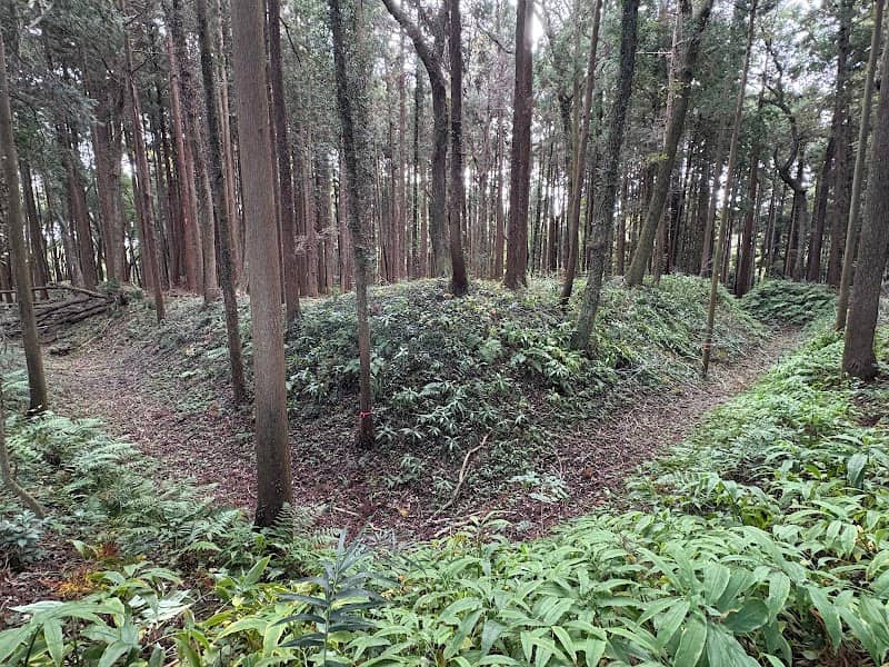 南酒出城跡 - Image 1