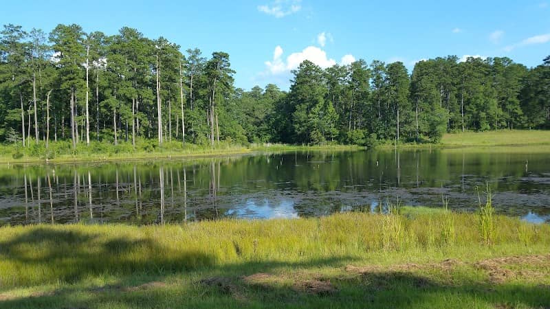 Piedmont National Wildlife Refuge - Image 3
