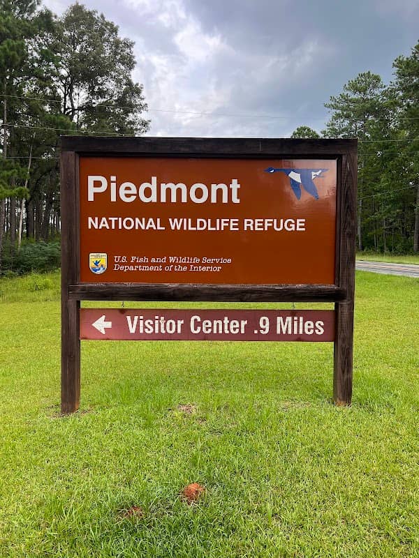 Piedmont National Wildlife Refuge - Image 1
