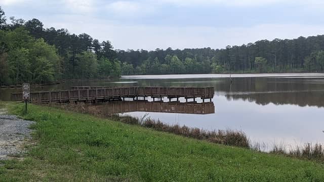 Piedmont National Wildlife Refuge - Image 2