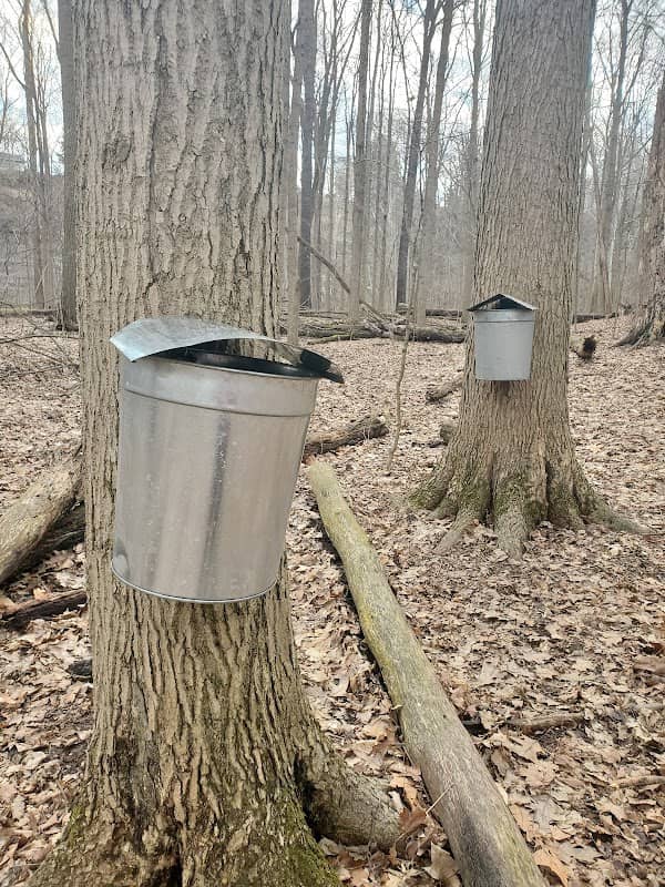 Maple Grove Picnic Area - Image 2
