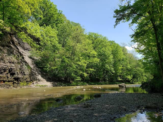 Maple Grove Picnic Area - Image 1
