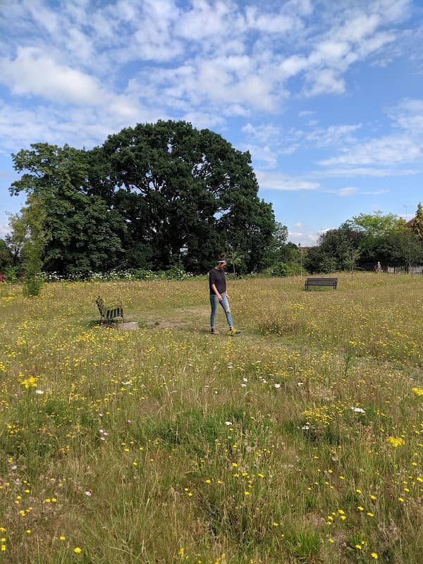 Churchfields Meadow - Image 1