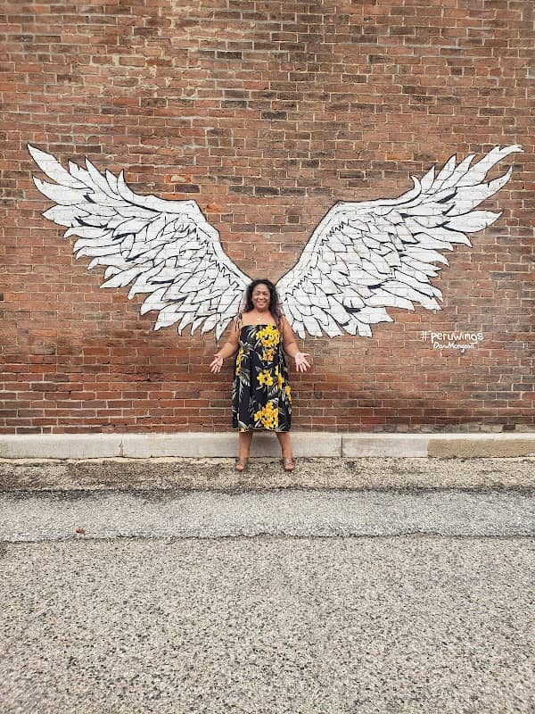 Peru Wings art mural - Image 3