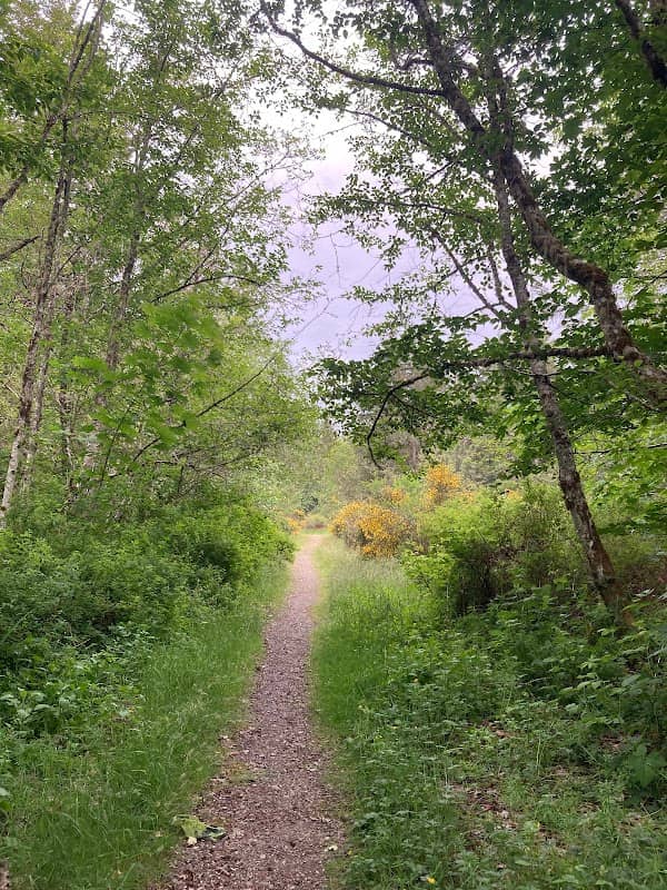 Meigs Park - Image 2