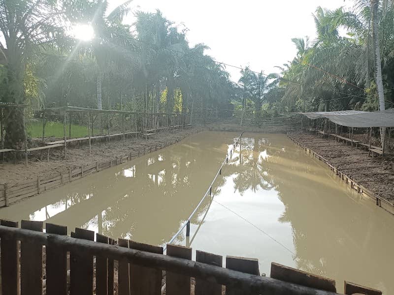 Kolam pemancingan kajarta - Image 1