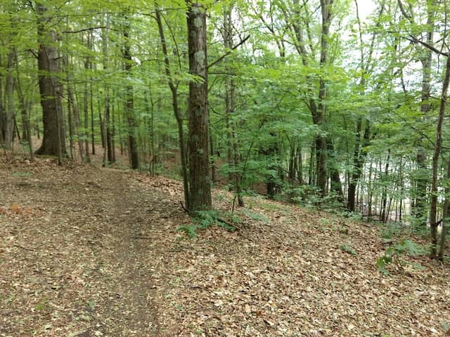 Hyser Marsh Wildlife Observation Area - Image 2