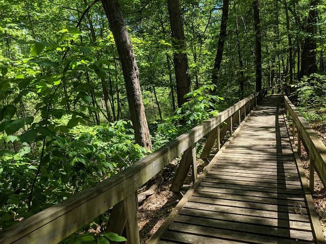 Hyser Marsh Wildlife Observation Area - Image 3