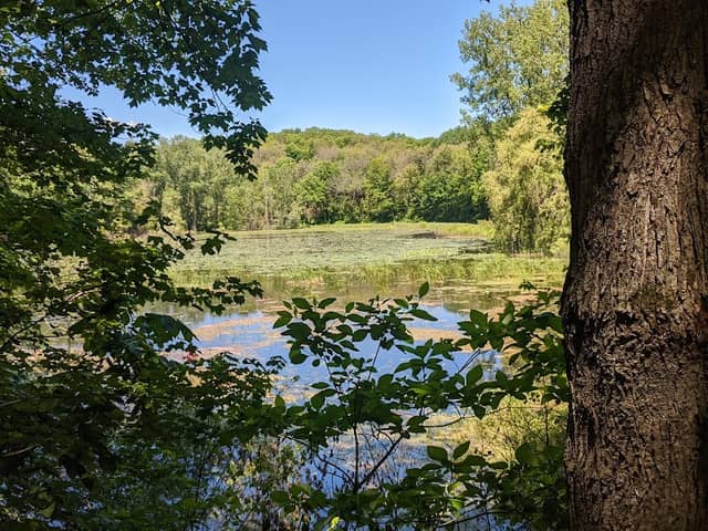 Hyser Marsh Wildlife Observation Area - Image 1