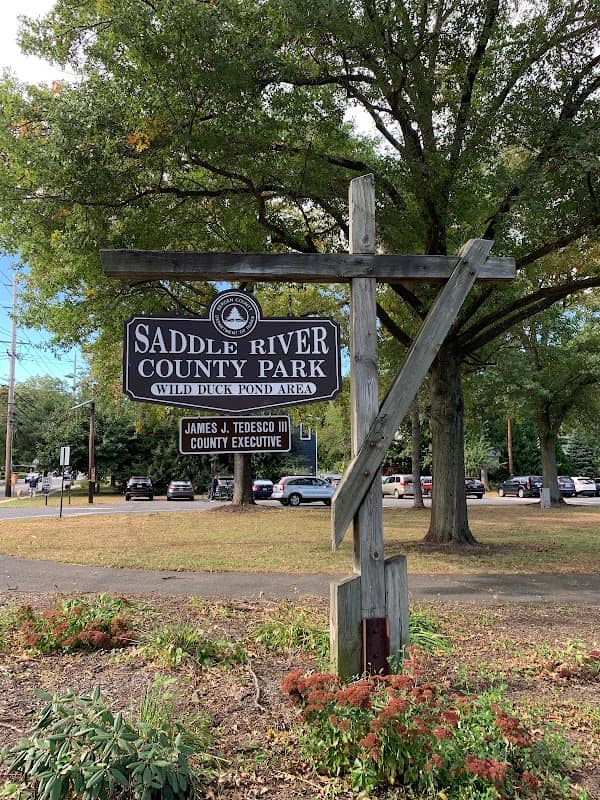 Saddle River County Park-Wild Duck Pond Area - Image 1