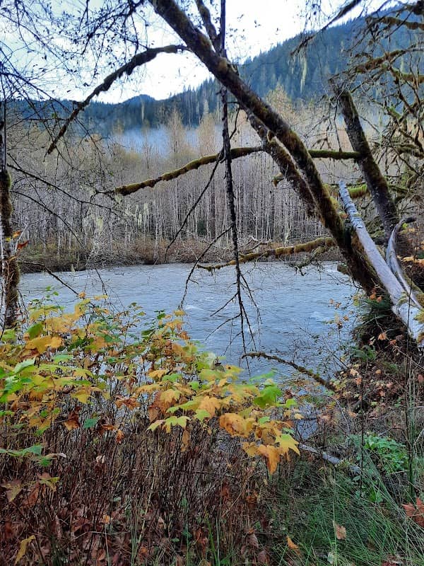 State Route 20 Arboreta Trail - Image 1