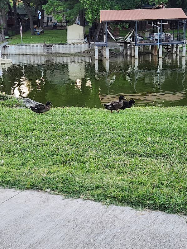 Marina Park - Image 1