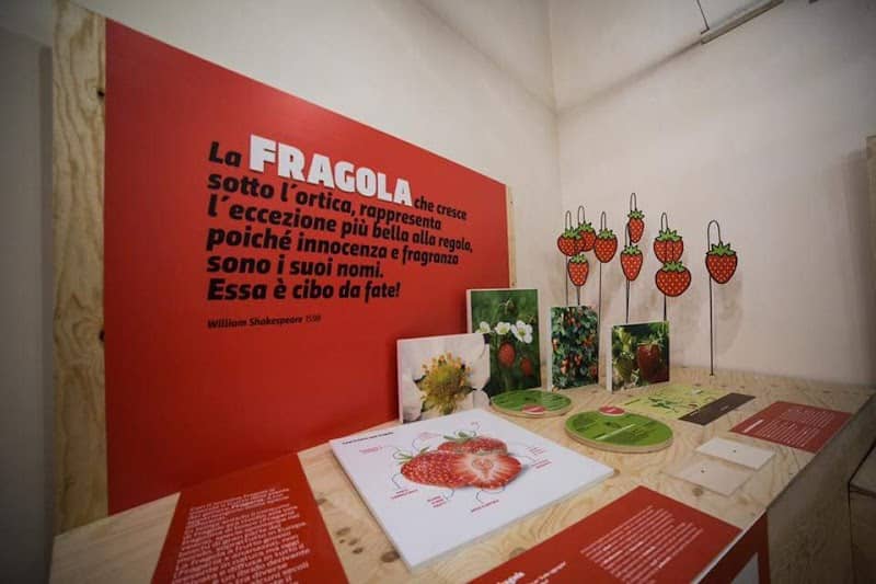 Museo della Fragola - Image 1