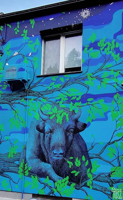 Mural Mony Tusz - Dąb Hajnuszko - Image 1