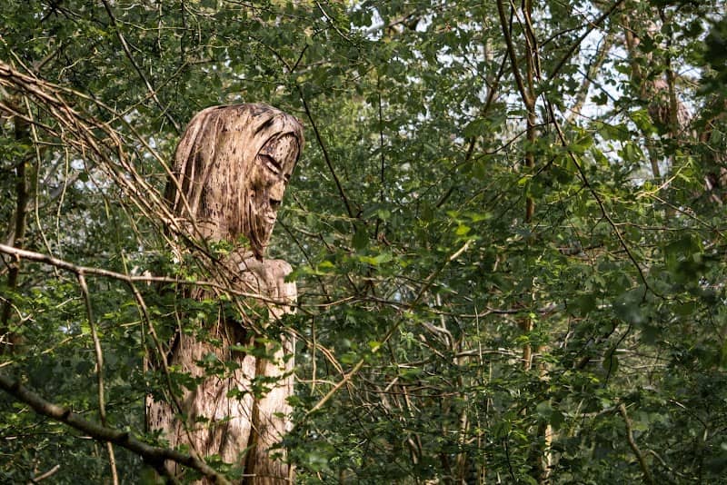 Keeper of the Wood - Image 2