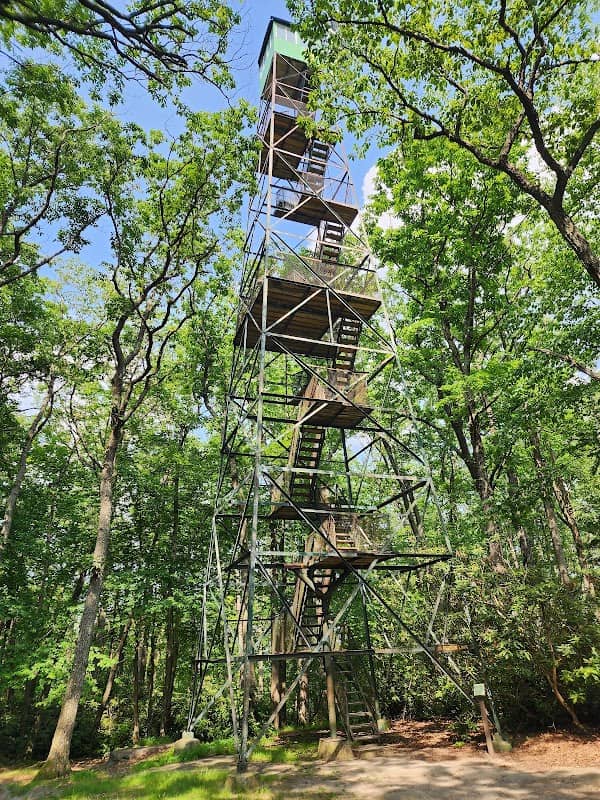 Cook Forest State Park - Image 1