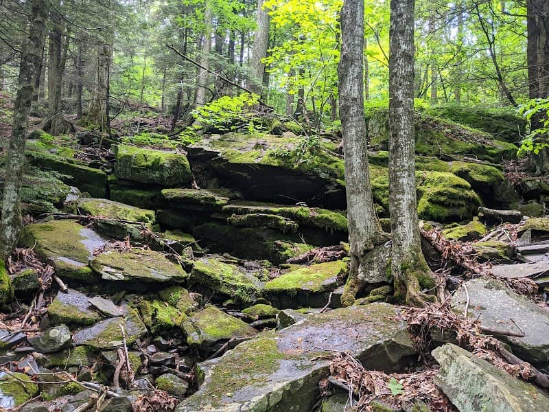 Sugarloaf Mountain - Image 3