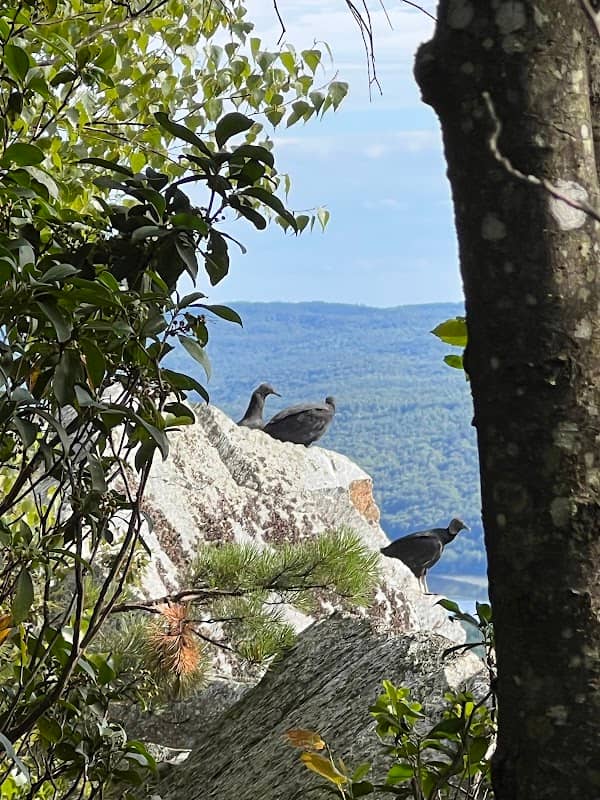 Mine Ledge - Image 2