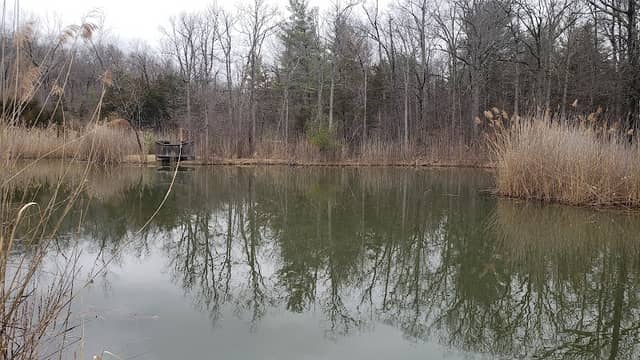 Cohotate Preserve - Image 3