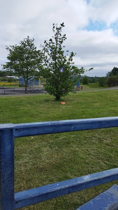 Belfield Park - Image 2
