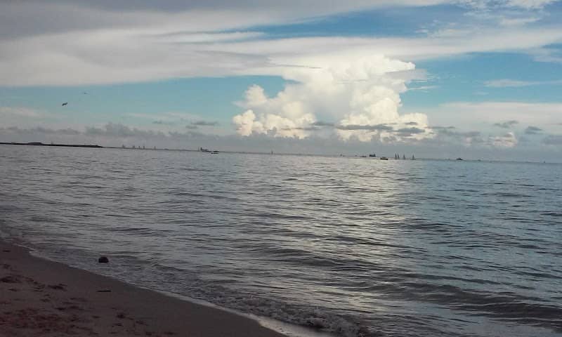 Pelican Pavilion - Image 1