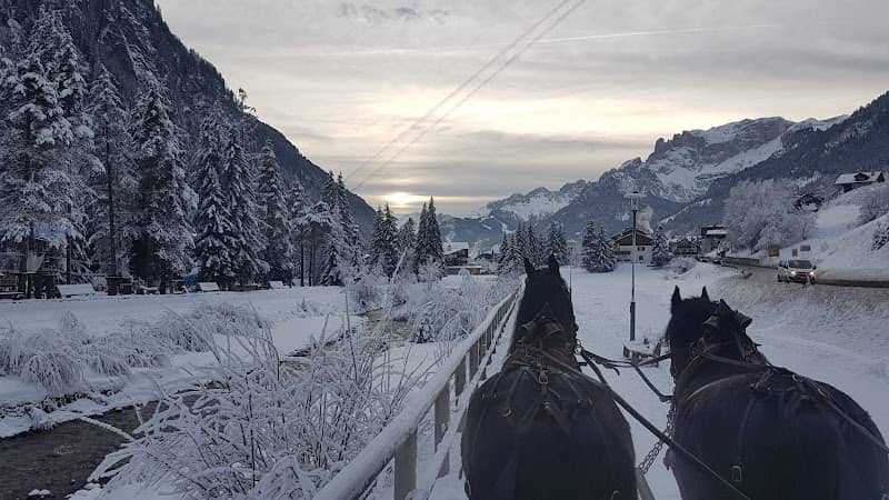 Giro in slitta Campitello di Fassa - Image 1