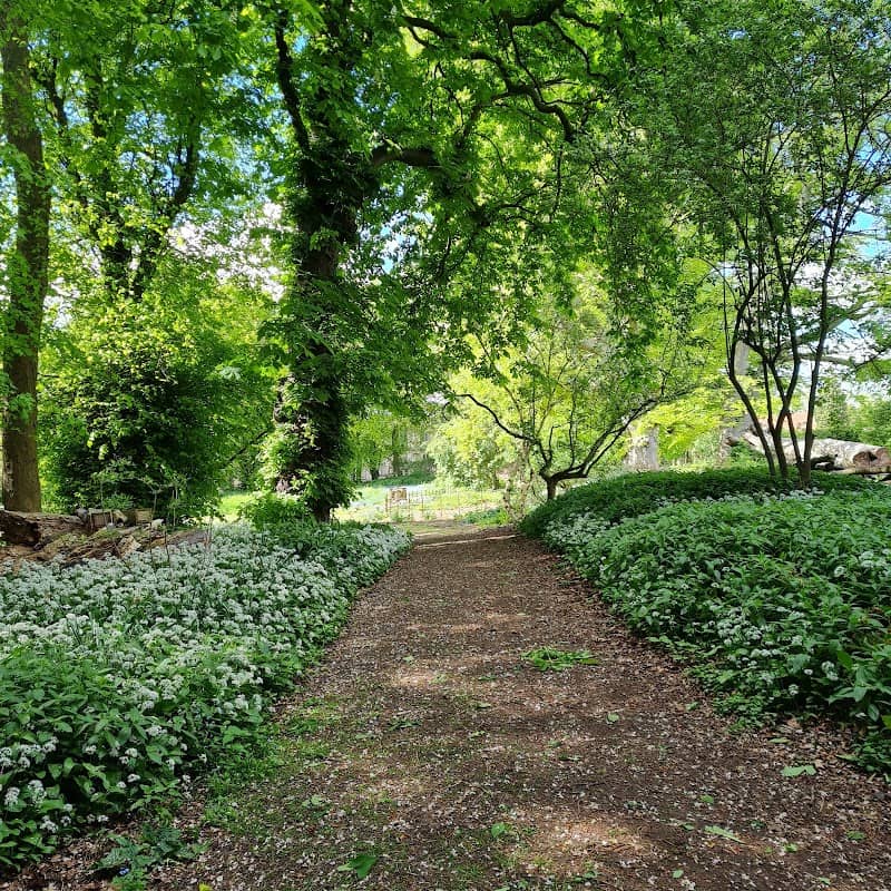 Malton Castle Gardens - Image 2