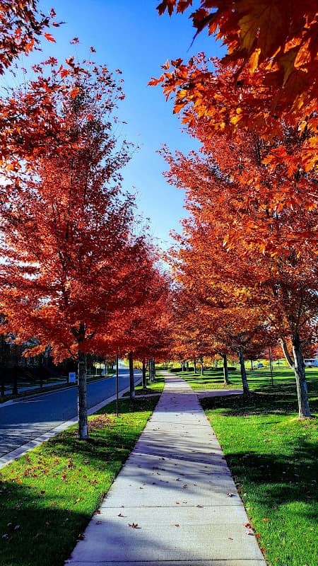 Bridges Park - Image 2